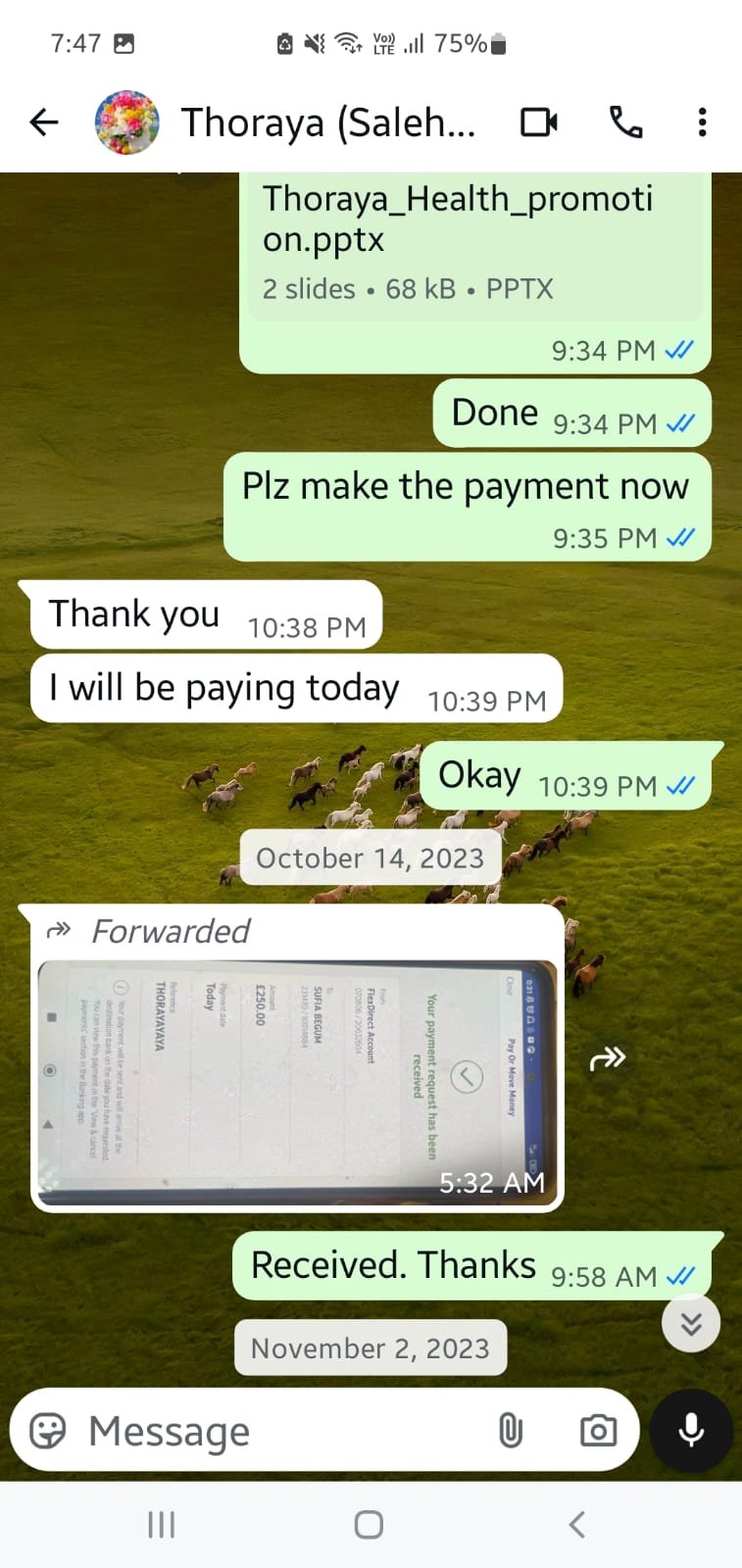 WhatsApp Image 2025-11-30 at 02.08.31_333e3ea6